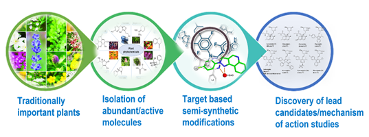 Chemical Image