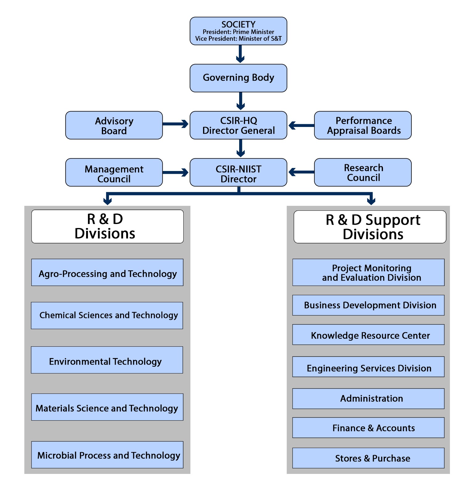 Organisation Chart