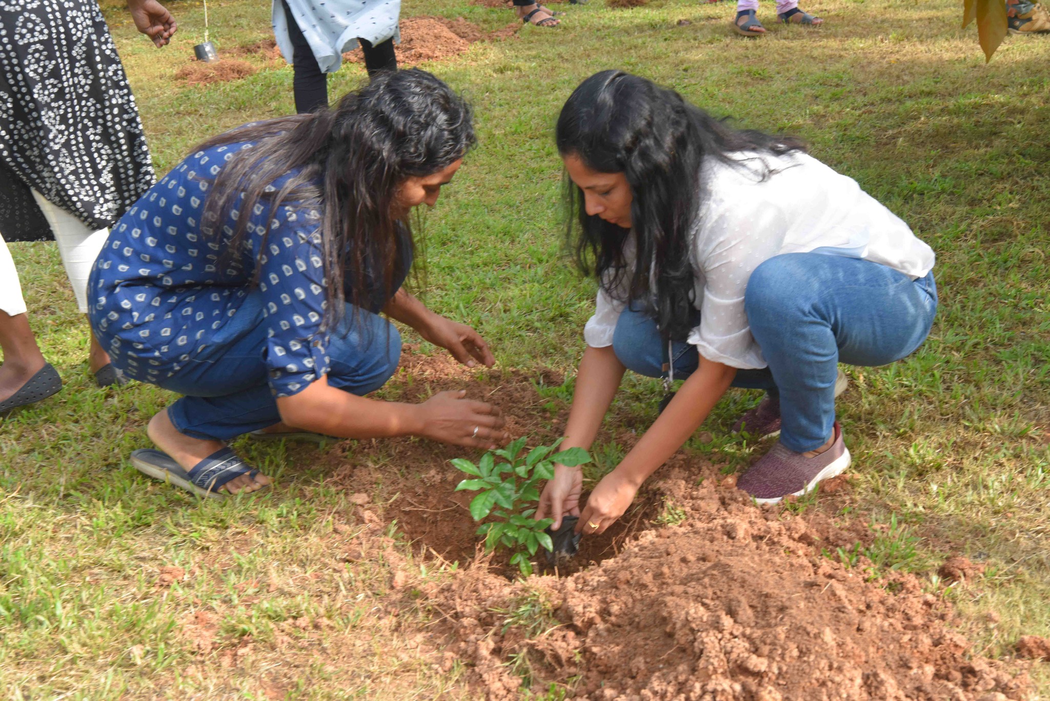 Planting of saplings as part of Eco-Campus Activity at CSIR NIIST – A CSR initiative by TATA ELXSI