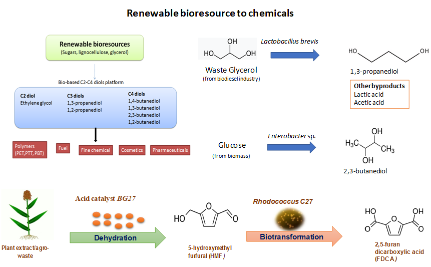 Chemicals Materials and Fuels from Renewable Resources