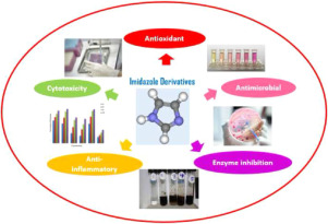 Transition metal complexes of imidazole derived Schiff bases: Antioxidant/anti-inflammatory/antimicrobial/enzyme inhibition and cytotoxicity properties
