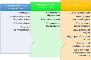 A comprehensive review on thermochemical, and biochemical conversion methods of lignocellulosic biomass into valuable end product