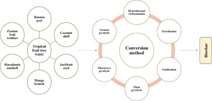 Production of biochar from tropical fruit tree residues and ecofriendly applications – A review