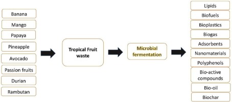 Valorization of tropical fruits waste for production of commercial biorefinery products – A review