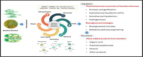 A thermo-chemical and biotechnological approaches for bamboo waste recycling and conversion to value added product: Towards a zero-waste biorefinery and circular bioeconomy