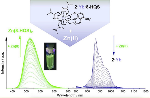Luminescent lanthanide molecular materials as potential probes for the recognition of toxic and biologically important cations