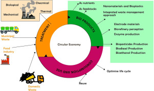 Inferences on bioengineering perspectives and circular economy to tackle the emerging pollutants