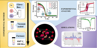 Exotic magnetic properties in Zintl phase BaVSe 3 : a theoretically supported experimental investigation