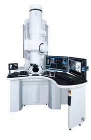 High Resolution Transmission Electron Microscope (JEOL JEM-F200)