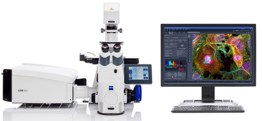 Confocal Microscope with NIR Imaging (Zeiss LSM 980)